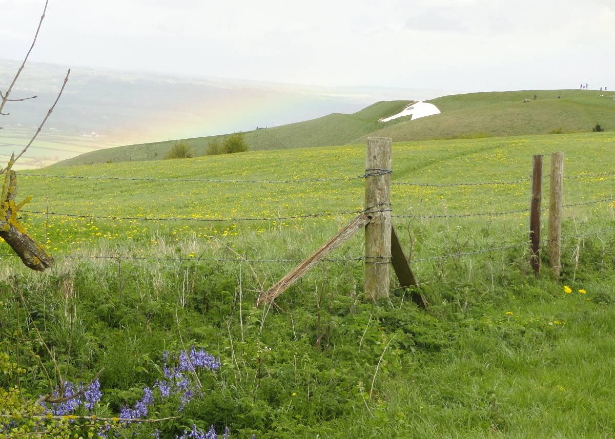 Westbury, Wilts, April Shower - rainbow over White Horse, with bluebells, 13 April...
