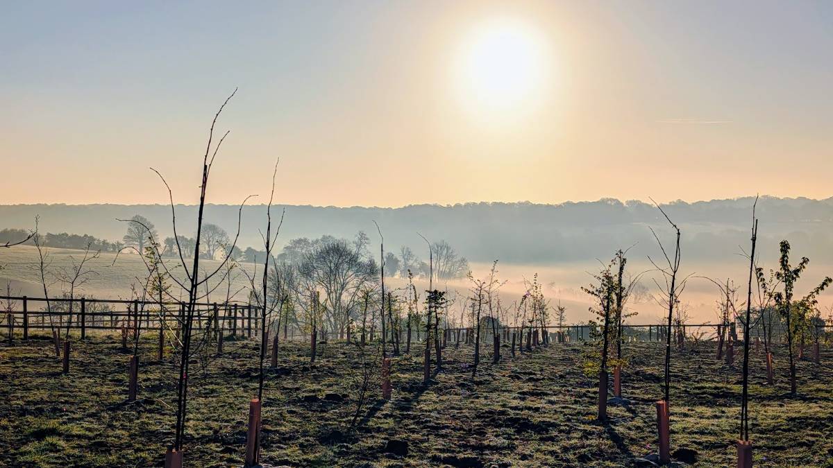 Berkhamsted, , Early mist begins to lift...