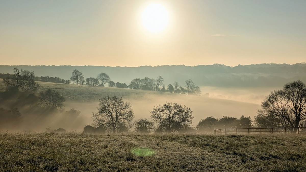 Berkhamsted, Herts, Spooky spring mist...