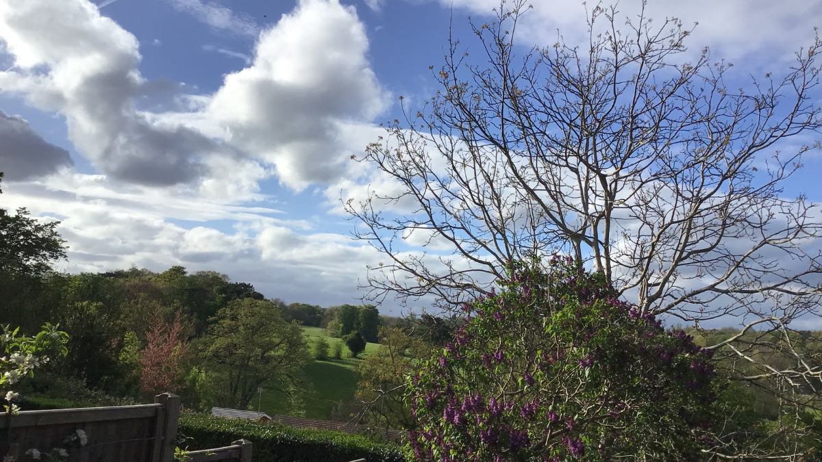 Henley, Oxon, These days for me are amongst the best weather days of whole year right tem...