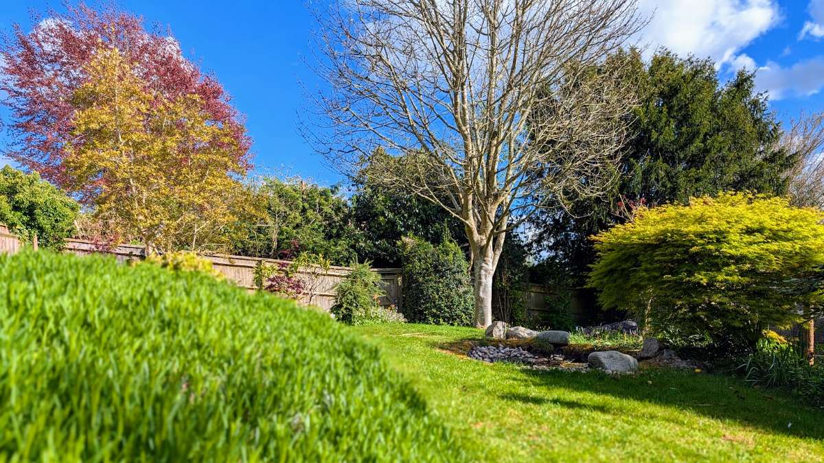 Berkhamsted, , Spring has sprung...