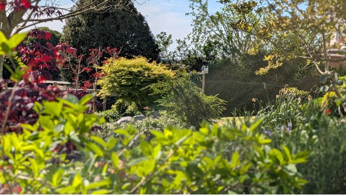 Stunning April sunshine. Posted by Brian Gaze