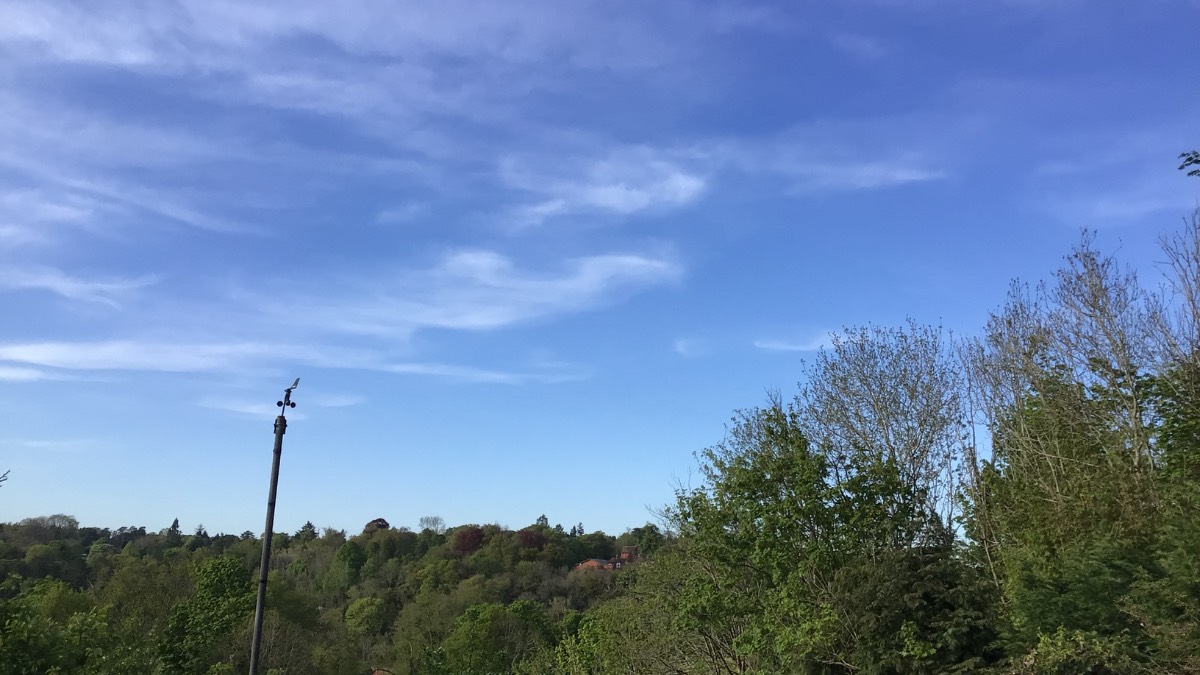 Henley, Oxon, A day of full sun and hight of 20c but still wind chill...