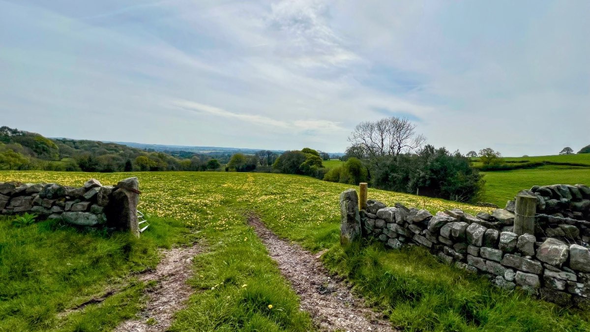 Ipstones, Staffordshire, Sunshine more hazy today but still very pleasant....