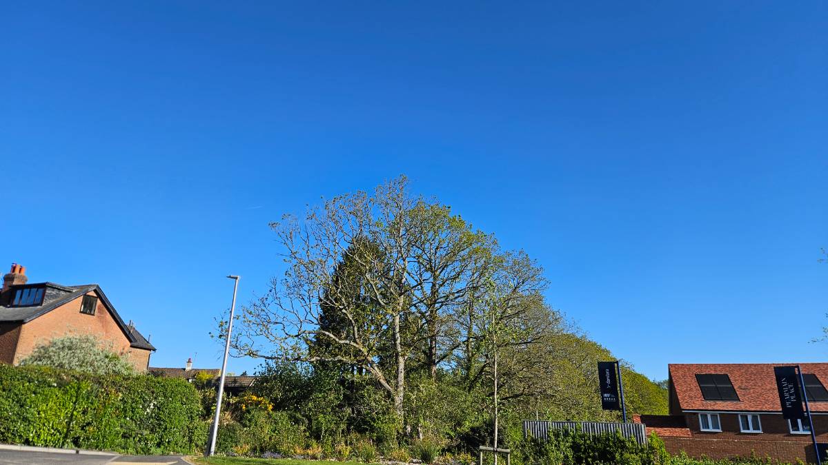 Crowborough, East sussex, A bright morning
Killer jigsaw photo...