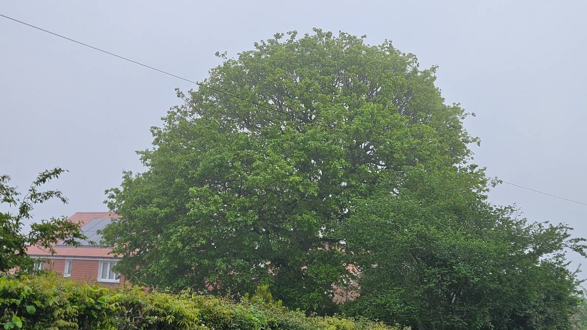 Crowborough, East sussex, Grey cloud backdrop...