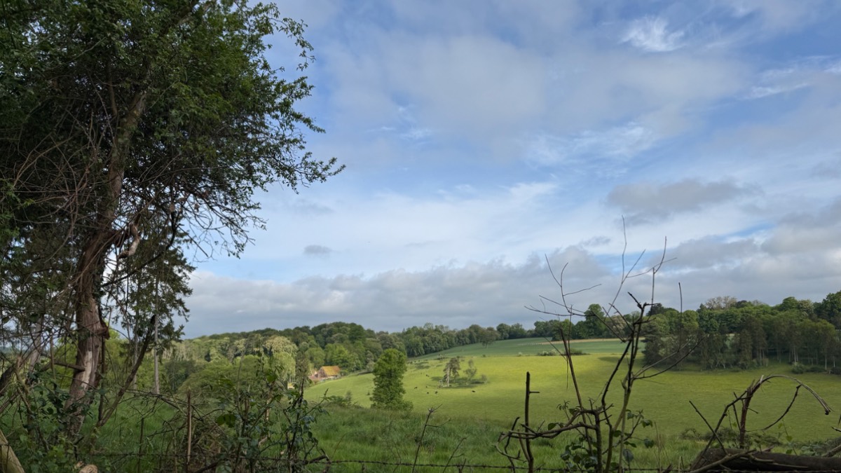 Henley, Oxon, A few sunny spells just 2mm of rain yesterday this morning bright 12c 86%...