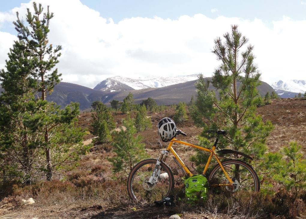 Aviemore, Sreathspey, Ryvoan pass, above Glenmore, Bynack More in distance with snow cover, 04/05...