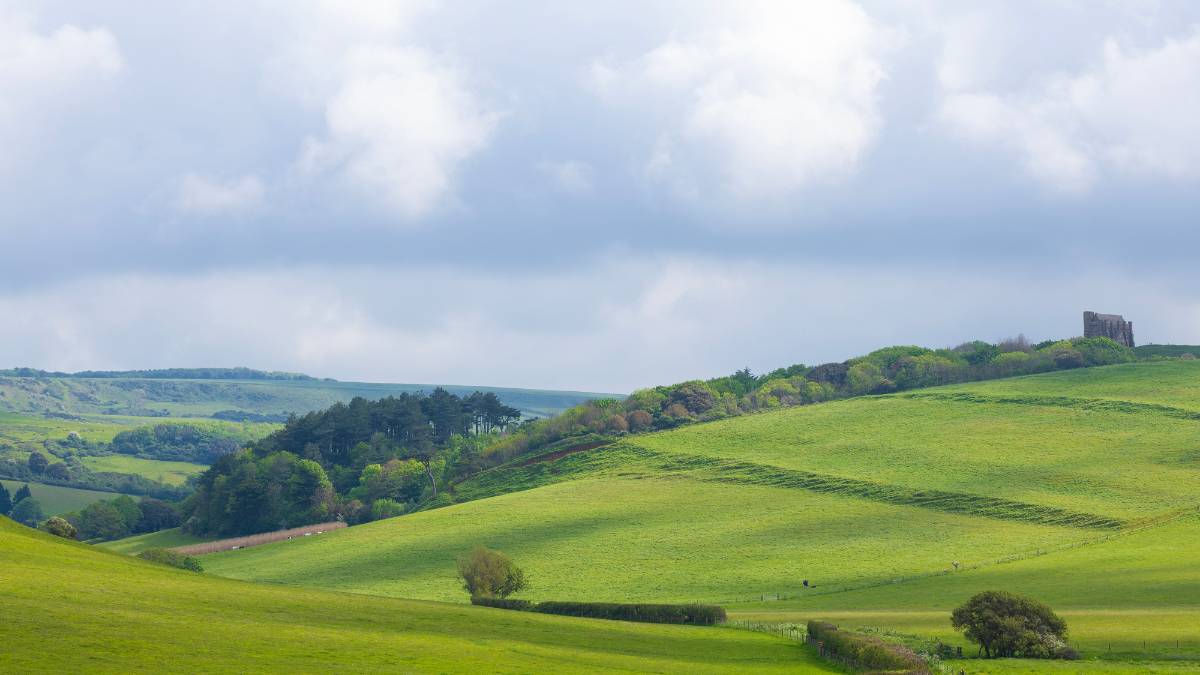 Abbotsbury, Dorset, Coastal Landscape...