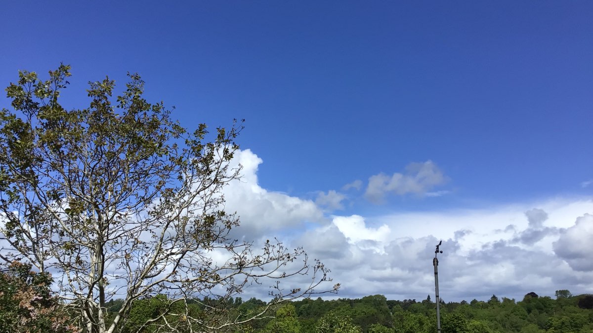 Henley, Oxon, Cold feel a couple of showers so far just .8mm any welcome fresh NW breeze ...