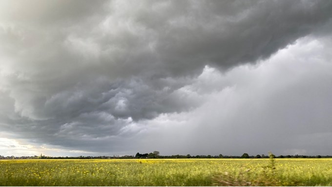 Rain incoming. Posted by Windy Willow