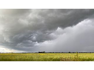 Heavy and blustery showers