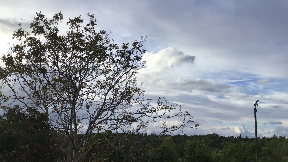 Henley, Oxon, Missed all the rain showers today indeed quite pleasant milder ...