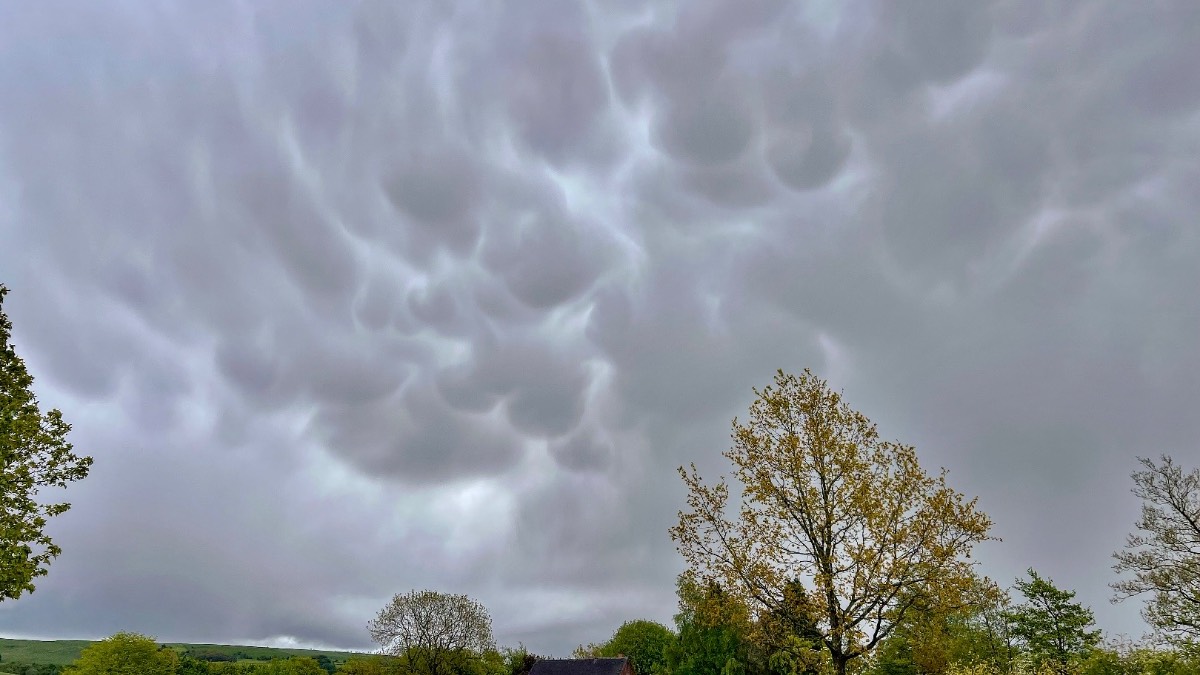 Leek, Staffordshire, Heavy showers with Mammatus clouds the other day....