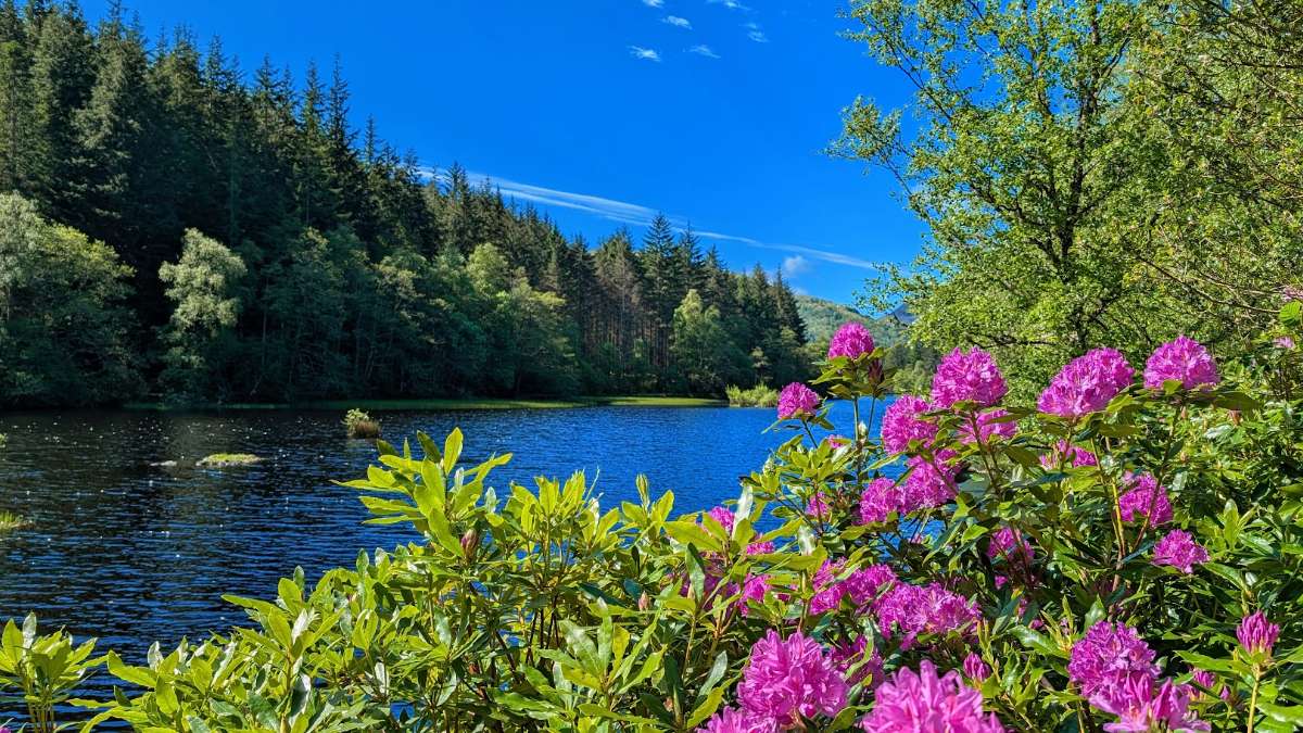 Fort William, , Stunning weather in the Glen Coe area...