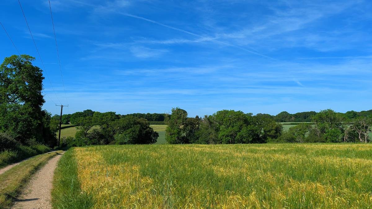Berkhamsted, Herts, Warm sunshine in the Chilterns...