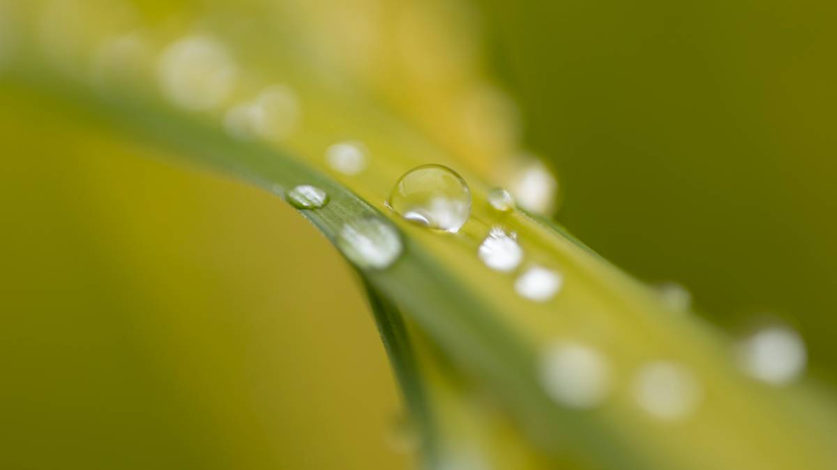 Dorchester, Dorset, Water Drops...