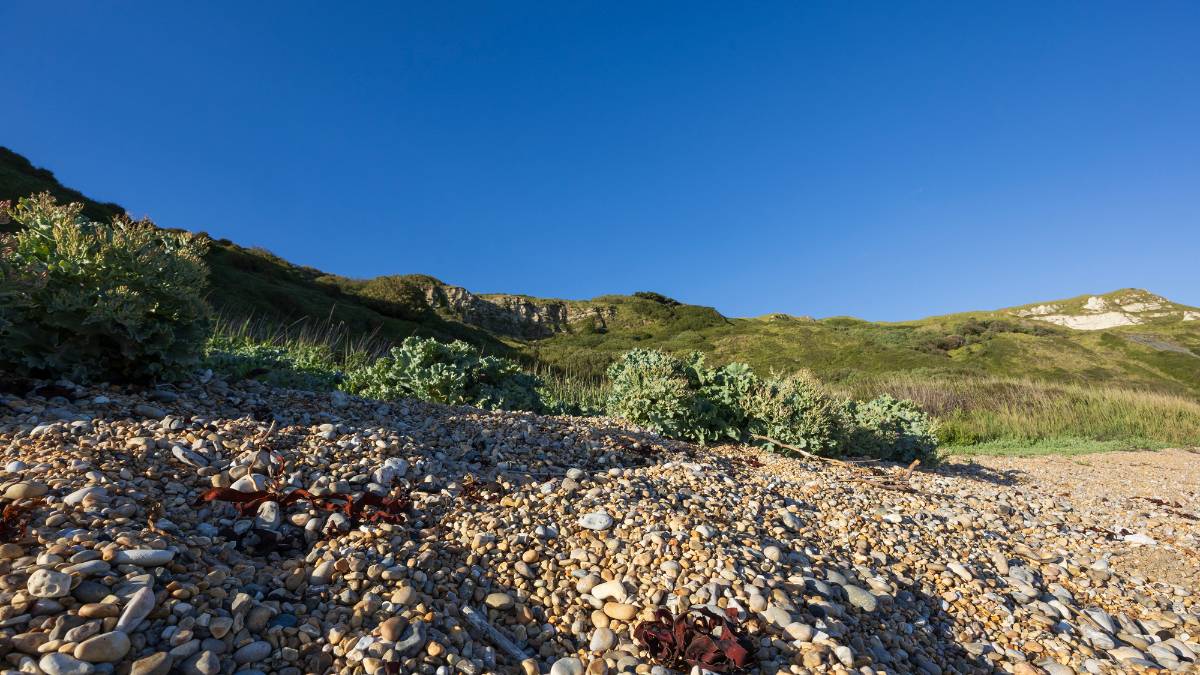 Preview image for JurassicCoast