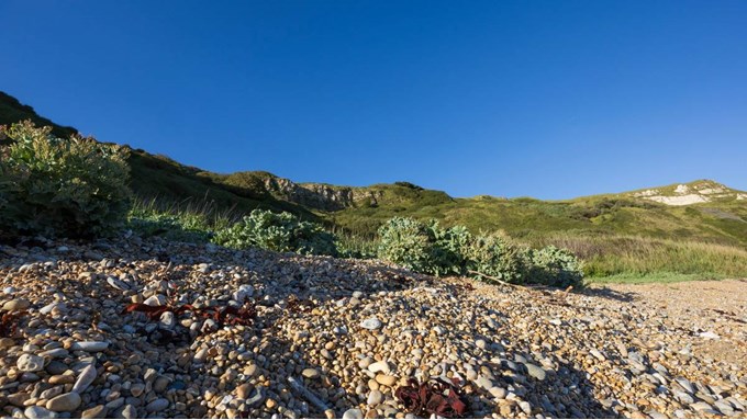 No Man's Land. Posted by JurassicCoast