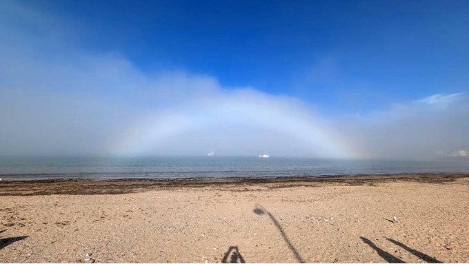 Fogbow and me. Posted by Brian Gaze