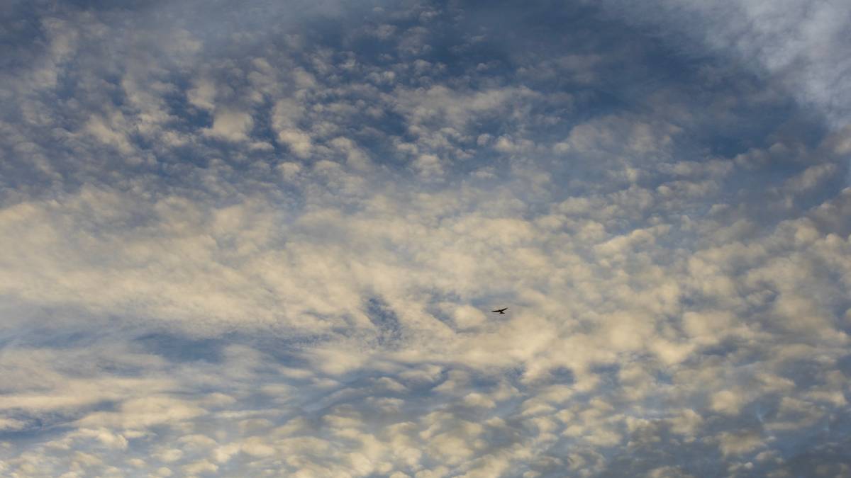 Dorchester, Dorset, Hirundine and Clouds...