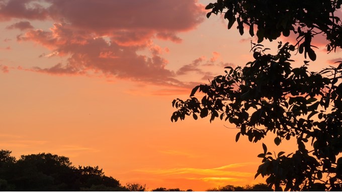 Fine evening. Posted by Tornadoman