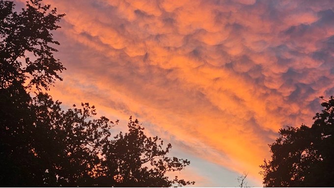 A special sunset. Posted by Jwadey