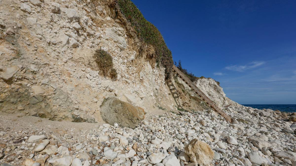 Preview image for JurassicCoast