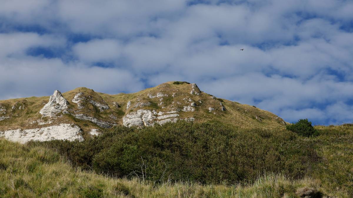 Preview image for JurassicCoast