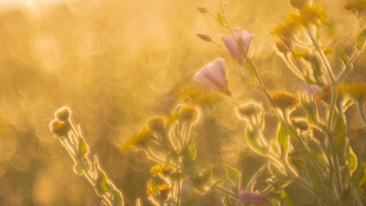 Ringstead, Dorset, A Sunset...