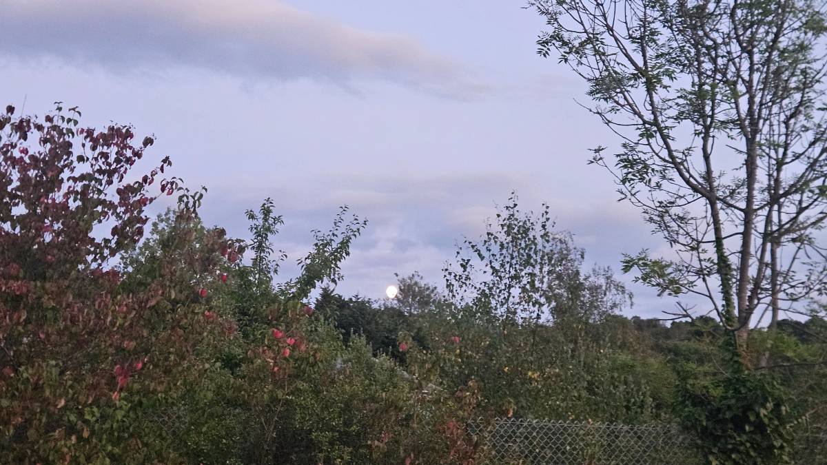 Crowborough, , Warm summer evening...