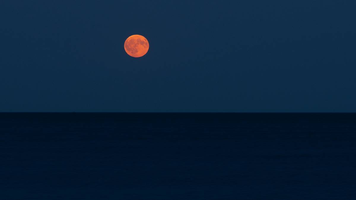 Preview image for JurassicCoast