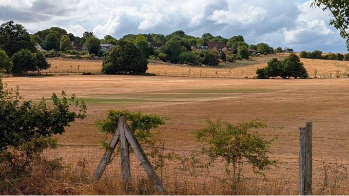 Berkhamsted cricket ground in the savanna - part 2. Posted by Brian Gaze