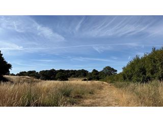 Thursday likely hottest day of the week