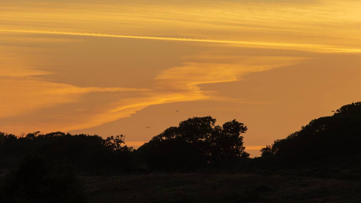 Dorchester, Dorset, Wings at Sunset...