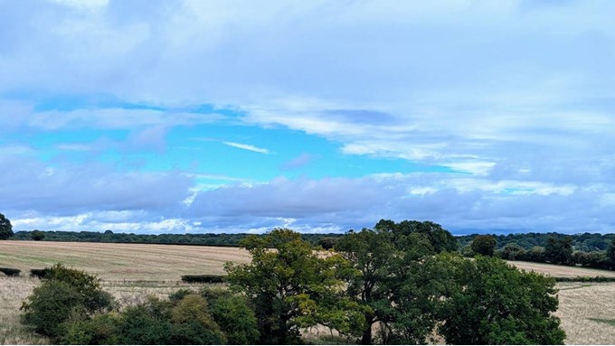 A patch of blue. Posted by Brian Gaze