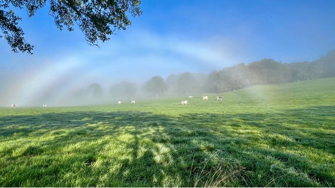 Autumnal mists..Fog bow this morning. Posted by toppiker60