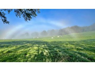 Astronomical autumn starts today