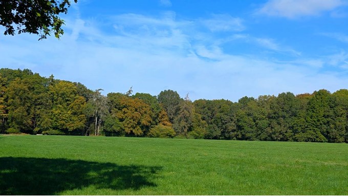 Autumn colours starting to appear in the Chilterns. Posted by Brian Gaze