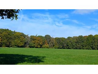 Dry and bright in much of the UK