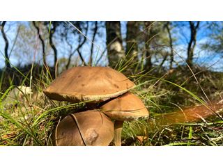 Autumn arrives in the south next week