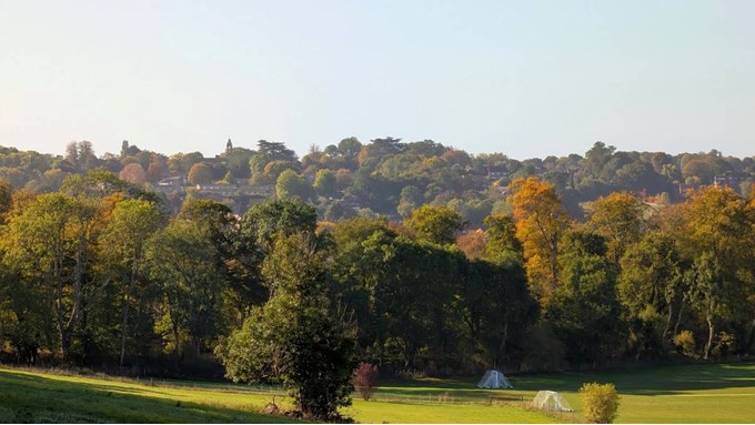 Autumn colours appearing, but still a summery flavour to the weather. Posted by Brian Gaze