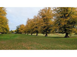 An autumnal chill beckons this weekend