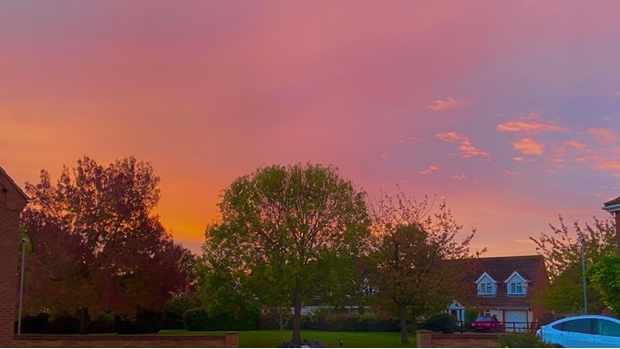 Red sky this morning. Posted by Windy Willow