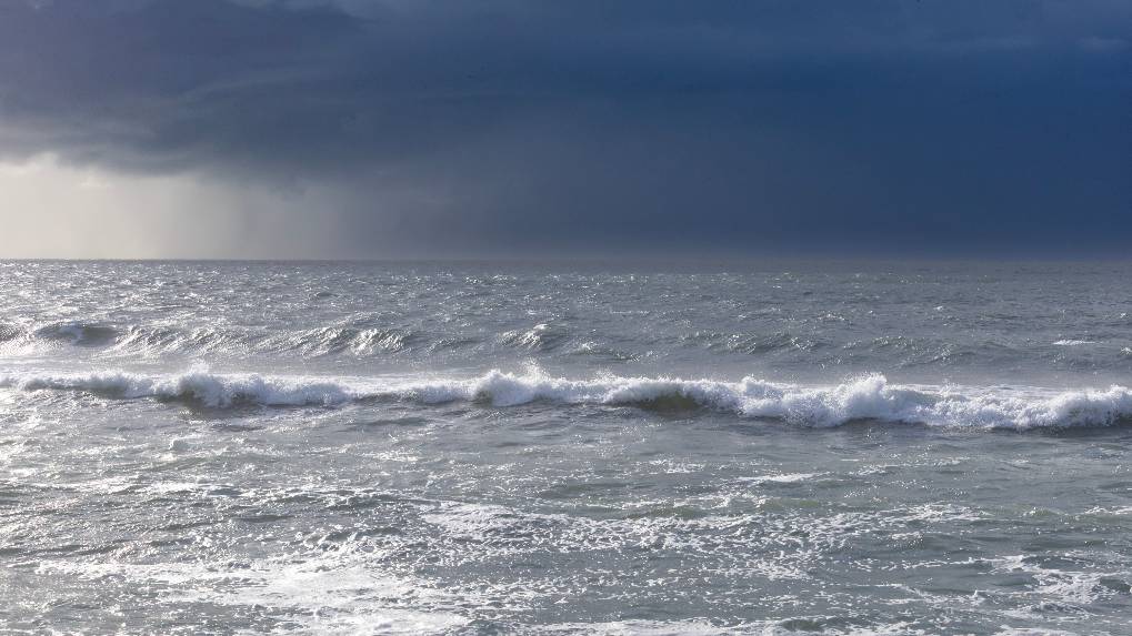 Preview image for JurassicCoast